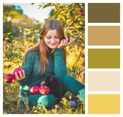Apples Autumn Young Woman Image